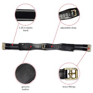 Gran oferta de cuero genuino acolchado con circunferencia de caballo australiano con accesorios de latón en Color negro marrón al por mayor - Product Image 2