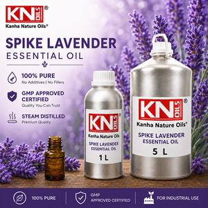 Aceite Esencial de Lavanda Puro 100% Orgánico Certificado Premium, Fabricante a Granel, Exportador Global de Lavandula latifolia - Product Image 2