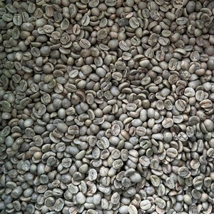 Vietnam Arabica <b>Coffee</b> <b>Beans</b> Bulk Raw Green Export Quality Supplier Worldwide - Product Image 1