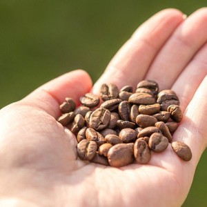 Arabica <b>Robusta</b> Roasted <b>Coffee</b> <b>Beans</b> Vietnamese <b>coffee</b> <b>bean</b> Small Pack Manufacturer for Online <b>Coffee</b> Brands and Retail Business - Product Image 5