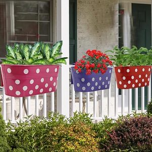 Pots de fleurs suspendus à pois colorés pour jardinières avec fleurs violettes - Product Image 5