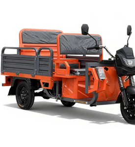 Tricycle électrique de 1,2 kW, véhicule de livraison à 3 roues pour passagers et marchandises, tricycle à trois roues - Product Image 2