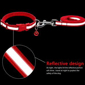 Reflective <b>Dog</b> Collar & Leash OEM ODM Custom Logo Adjustable Nylon Direct Manufacturer - Product Image 4