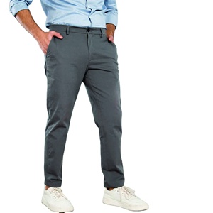 Pantalones Casuales Rectos para Hombre, Grises, Tipo Chino, Transpirables, Cintura Elástica, Ropa de Calle, Ropa de Trabajo, Pantalones para Exteriores, Bordados, de Secado Rápido - Product Image 1