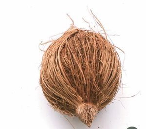 Lughu Nariyal Shriphal Mahalaxmi Pooja Christmas Other Puja Path Non Comestible Sculpture en Bois Utilisée Uniquement pour Puja Hawan 11 Pièces - Product Image 2