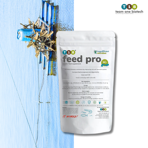 สารกระตุ้นการเจริญเติบโตตามธรรมชาติสำหรับกุ้ง ระบบเพาะเลี้ยงสัตว์น้ำอย่างยั่งยืน - Product Image 3