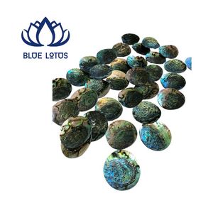 AVAILABLE Eco Friendly Seashell Hermit <b>Crab</b> <b>Shells</b> Yellow White Green Silver For Wholesale Interior Accent Decor Vietnam - Product Image 1
