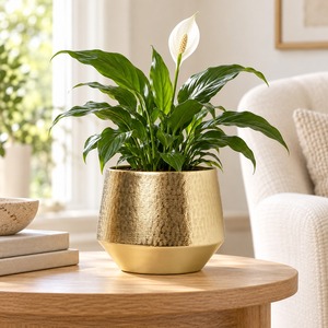 Lot de 2 Vases à Fleurs Élégants pour Décoration d'Intérieur, Cadeau, Vases Décoratifs, Centre de Table, Présentation Florale Moderne, Vase Élégant - Product Image 1