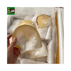 Assiette de luxe en nacre naturelle, vaisselle artisanale haut de gamme pour événements gastronomiques exclusifs - Product Image 3