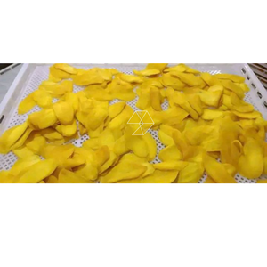 Preserve Fruits - Caja de Regalo con Flores de Mango Deshidratadas Premium, 250 g, Bajo en Azúcar, 0,3%, Estándar de Exportación a la UE y China - Product Image 1