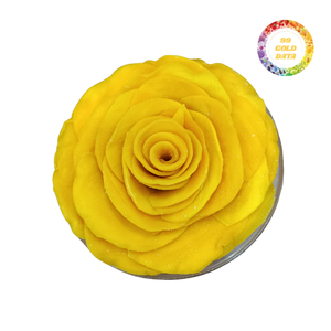 Mango Deshidratado de Frutas Seleccionadas de Fábrica para Comercio Internacional, Venta al Por Mayor - Product Image 1