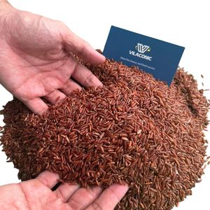 Arroz Integral Largo Orgánico Certificado HACCP de Vietnam |   Celeste VILACONIC Precio de Fábrica al por Mayor |   Arroz Saludable 12 Meses - Product Image 5
