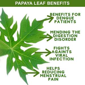 ดอกมะละกอตากแห้งแบบพรีเมี่ยม-ธรรมชาติออร์แกนิกและปริมาณมาก - Product Image 5