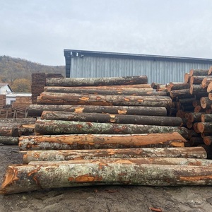 Troncos de Madera de Roble de Alta Resistencia, Roble Blanco, Roble Rojo, Madera de Grado Industrial Duradera para Construcción y Uso en Exteriores - Product Image 2