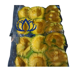 Meilleures ventes : Dés d'avocat surgelés IQF purs et naturels, déshydratés, pour boissons - Product Image 2