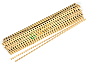 Estacas de Bambú Eco2go Vietnam, Color Bambú Natural, Diseño Moderno y Simple, Soporte para Plántulas, Plantas en Maceta, Jardinería - Product Image 6