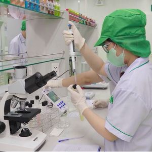 330ml Black <b>Tea</b> Flavor Drink, Wholesale Private Label Free Sample Vietnam Manufacturer - Product Image 4