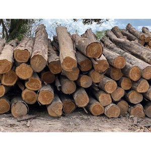 Proveedor Mayorista de Troncos de Madera de Teca de Primera Calidad para Fabricantes de Muebles, Importadores, Exportadores y Comerciantes - Product Image 3