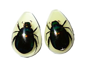 Cabochon en plastique en forme de poire, spécimen réel de scarabée coloré, taille 33x22 mm, fond plat, pour artisanat et fabrication de bijoux - Product Image 2