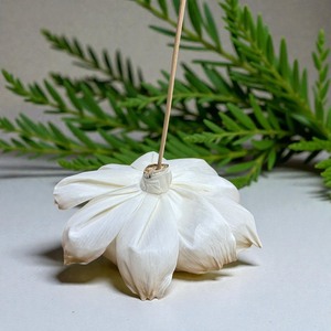 ดอกไม้ประดิษฐ์จากไม้โซล่ารูปดอกโบตั๋นธรรมชาติ ขนาดใหญ่ 15 ซม. ทำจากเส้นใยพืชเซสบาเนีย - Product Image 4