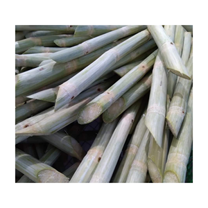 Caña de azúcar congelada al por mayor con precio competitivo de alta calidad de Vietnam | Exportación de caña de azúcar en todo el mundo - Product Image 1