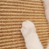Griffoir vertical triangulaire de luxe moderne en sisal pour chat, anti-chute, tapis d'escalade pour chat, carton 4 niveaux antidérapant