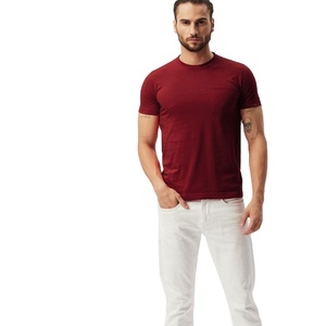 Vente en gros de t-shirts 100% coton biologique pour hommes avec logo personnalisé et couleur unie décontractés à manches courtes en microfibre pour l'été - Product Image 1