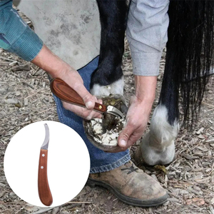 Cuchillo para pezuñas de caballo con mango de madera, cortador de acero inoxidable multifuncional para mano derecha o izquierda, herramientas de poda para patas de ganado y burros, 1 unidad - Product Image 5