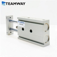 TEAMWAY Cilindro Deslizante Guía Serie GSB/GSU de Doble Varilla, Mesa Neumática de Aluminio con Pistón, Buje Sinterizado y Opción de Rodamiento Lineal