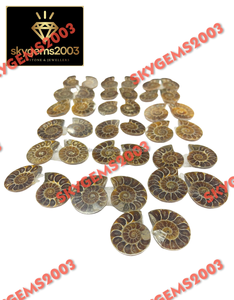 Amonites Fósiles Naturales de Alta Calidad al por Mayor, Lote de Minerales en Rodajas Pequeñas, Amonites Fósiles en Venta, Cabujones para Joyería - Product Image 3