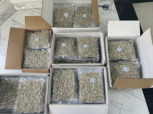 Quality Assured Vietnamese Dried Anchovies Ideal for Retail and Bulk Buyers - Product Image 4