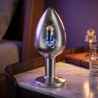 Kabelloser Ferngesteuerter Unisex Analplug mit Prostatamassagefunktion aus Metall, Wasserdicht, Silber, Erwachsenen-Unterhaltungsprodukt