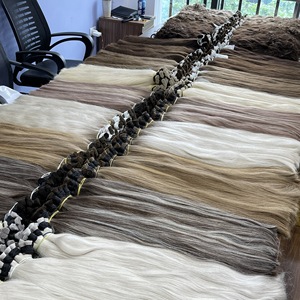 ต่อผมเวียดนามแท้แบบ Remy คุณภาพดีที่สุด 100% ปราศจากซิลิโคน นุ่มลื่นเป็นธรรมชาติ ไม่ผ่านการแปรรูปด้วยสารเคมี จากผู้จำหน่ายผม - Product Image 1
