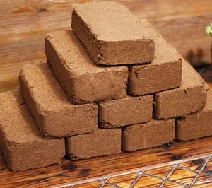 อิฐใยมะพร้าว - Product Image 2