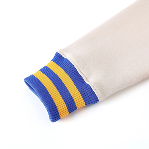 Sweat-shirt personnalisé SGRho à col zippé unisexe pour femme, équipement d'hiver pour sororités et fraternités, lettres en relief, vêtements grecs personnalisables - Product Image 5