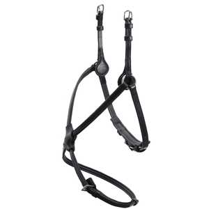 Correa Nasal para Caballo de Cuero Duradero de Primera Calidad, Ajustable, con Hebillas de Acero Inoxidable, para Entrenamiento y Competición, FAB International - Product Image 1