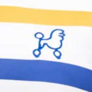 Ensemble court rayé Sigma Gamma Rho pour femmes, bleu, or, blanc, tenue deux pièces, t-shirt et short, style sororité grecque - Product Image 3