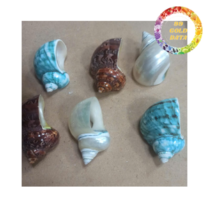 Porte-serviettes décoratif en coquille de conque naturelle, anneau en coquillage poli pour la maison et la salle de bain de style plage - Product Image 5