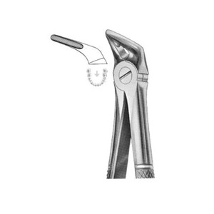 คีมถอนฟันแบบมืออาชีพ รุ่น Fig. 31 สำหรับรากฟันล่าง รุ่นอังกฤษ เกรดทางการแพทย์ ทำจากสแตนเลสสตีล - Product Image 3