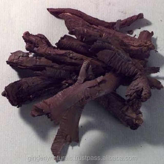 Ratanjyot Exporter in Bulk From India