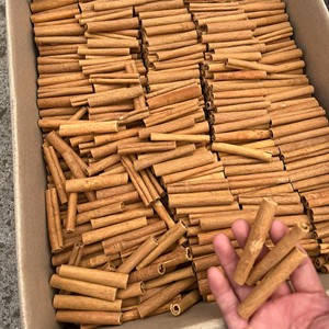 Cannelle en bâtonnets de cassia de haute qualité du Vietnam, prix de gros, durée de conservation de 2 ans - Product Image 6