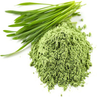 Poudre de blé détoxifiante de haute qualité à marque privée, riche en chlorophylle, supplément antioxydant et soutien immunitaire