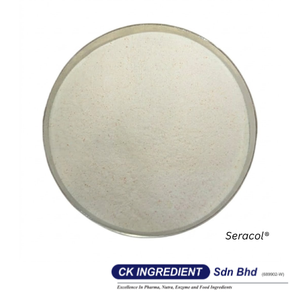 Top Sale Lemon Juice Powder Premium Quality Halal OEM B2B <b>Best</b> Supplier Guarantee Vitamin C Detox Drink Seasoning Ingredient - Product Image 5