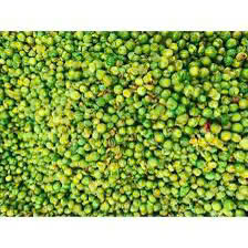 OEM Crunchy Roasted Green Peas Garlic Chili Flavor Bulk Export Private Label Healthy Food - Product Image 2