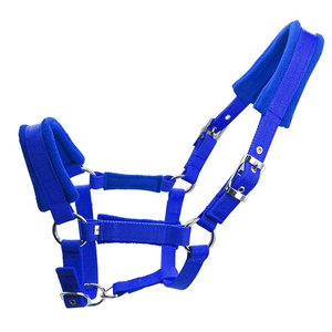 Harnais de cheval en nylon noir avec cou rembourré et boucles métalliques pour l'équitation et l'entraînement - Product Image 4