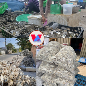 Conchas de Ostra Ionizadas, Medio Filtrante para Acuarios, Neutralizador de Ácido para Equilibrar el pH, Conchas Trituradas para Filtro Biológico de Estanques Koi - Product Image 3