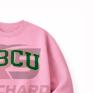 Sudadera HBCU personalizada y elegante, cálida, cómoda, duradera, profesional, para universidad, ropa HBCU de alta calidad - Product Image 3