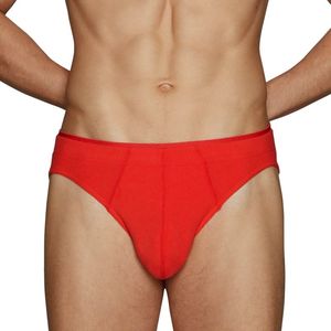 Sous-vêtements pour hommes de haute qualité en coton et élasthanne, tricotés, respirants, taille basse, nouveau style, tongs sexy, maille transparente, service OEM - Product Image 3