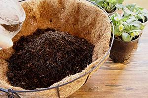 Pot de fleurs en fibre de coco, écologique, biodégradable, design rustique pour la plantation en jardin - Product Image 4