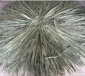 Fabricante Vietnamita de Cubiertas Plegables para Sombrillas de Paja de 2.6m, Repuesto Natural para Sombrillas de Patio, Proveedor al por Mayor - Product Image 3